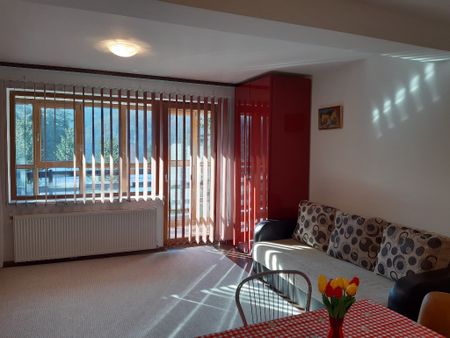 Inchiriere apartament cu doua camere - Photo 3