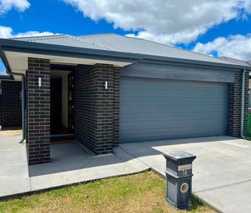 Modern Family Home in the Heart of Park Ridge - Photo 6