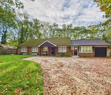 5 bedroom bungalow to rent - Photo 4