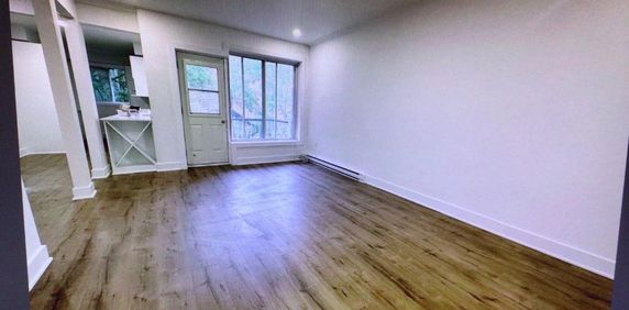 NDG Apt 1 bedroom - Photo 2