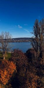 2.5-Room Apartment with Lake & Mountain Views – Zürich Wollishofen (Nachmieter gesucht) - Foto 3