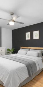 Appartement 2 chambres - Plateau mont Royal $2,400 - Photo 3