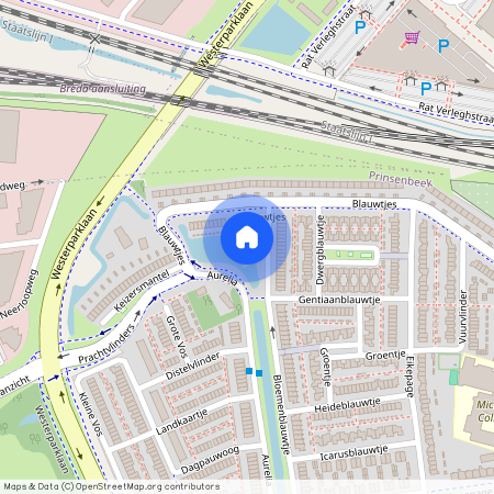 Blauwtjes, 46, Breda