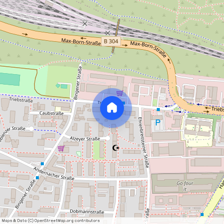 Triebstrasse 8, 80993 München - Moosach