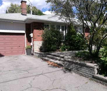 For Lease - 906 Walnut Street Unit# Basement, Whitby, Ontario - Photo 4