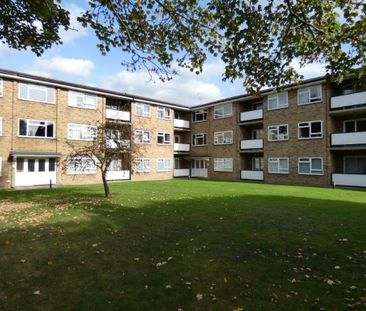 Stuart Court, Canterbury - Photo 2