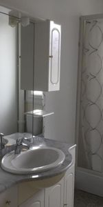 Location Appartement 2 pièces 47m² TOURS 37000 - Photo 3