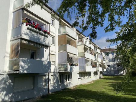 1 Zimmer, 25 m², EG - Foto 4