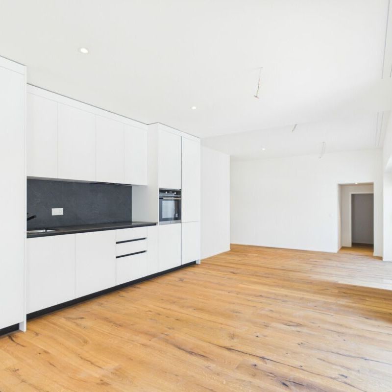 Grosszügige 7,5 Zimmer Wohnung kernsaniert für grosse Familien - Photo 1
