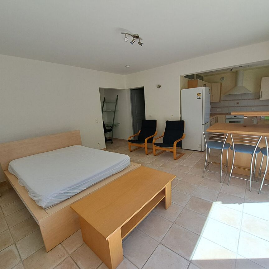 GRAND STUDIO MEUBLE 40 m² AVEC TERRASSE + PARKING, - Photo 1