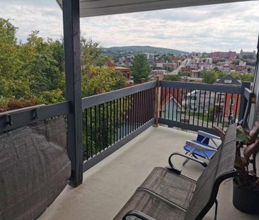3½ rénové au sommet, vue unique - Photo 2