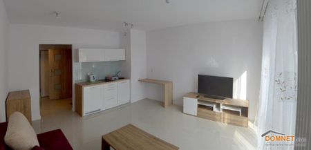 Katowice, Dąb - Фото 2