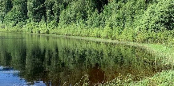 Ringvägen, Hedemora - Photo 3