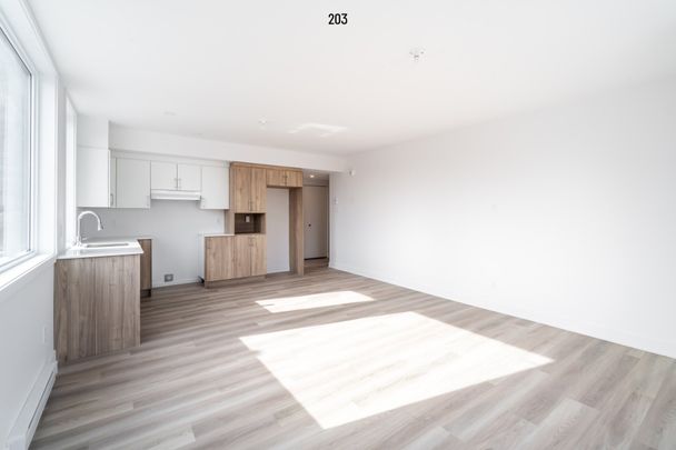 Condo for rent, Montréal (Rosemont/La Petite-Patrie) - Photo 1
