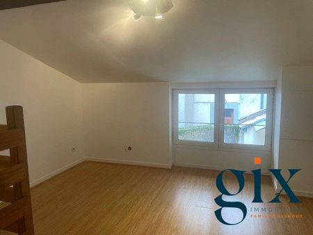 Location Appartement 1 pièce 18m² GRENOBLE 38000 - Photo 2