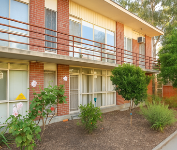 6/19a Hawthorn Grove, Hawthorn VIC 3122 - House For Rent | Domain - Photo 2