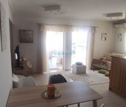 Διαμέρισμα για ενοικίαση - Μαρκόπουλο - Φωτογραφία 2