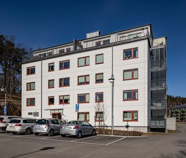 Fruktträdsgatan, Göteborg - Photo 2