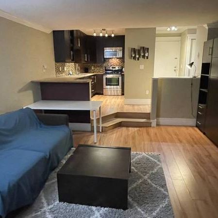 Furnished Bachelor Studio -VGH Great Location! - Photo 4