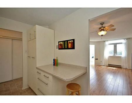 For Lease - 1025 Grenon Avenue Unit# 409, Britannia Heights - Queensway Terrace N and Area, Ontario - Photo 3