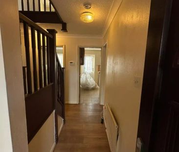 6 Bedroom 2.5 Bathroom Apartment - Photo 1