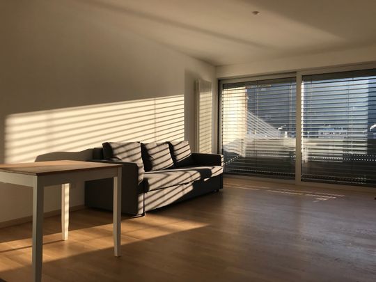 1.5 Zimmer, 45 m², 7. Stock - Photo 1