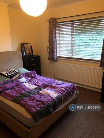 4 bedroom house share to rent - Photo 3