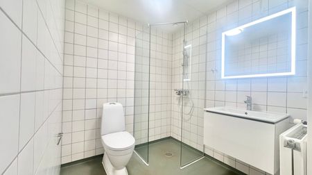 2 værelses – Horsetorvet 1, st. lejl. 4 – Odense C - Foto 4