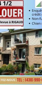 Logement 4 1/2 à louer (1ER JUIN 2026) - Photo 4