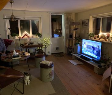 Ubbalt hus ett, Vittsjö - Photo 4