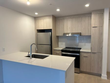 10130 Rue Lauraine-Vaillancourt, app.202, H3L 0B1, H3L 0B1, Montréal - Photo 5