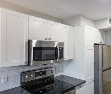 1C Renovated - Photo 2