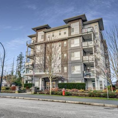 Maple Ridge 1 bed Apt for rent - Photo 3