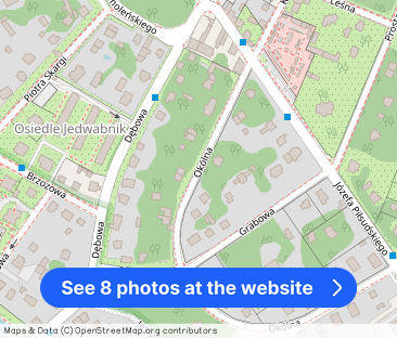 Mieszkanie 53 m2 na wynajem, 2 pokoje, I piętro, centrum Milanówek - Photo 1