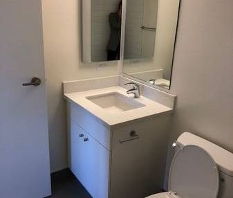 Newly Renovated 1 Bedroom at Pineview Place - Photo 4