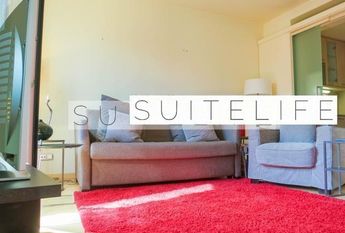 Monsieur Van Damme Lives Upstairs