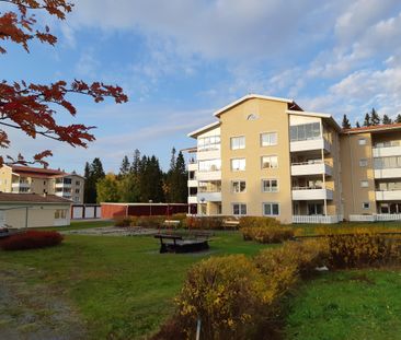 Skogsbruksvägen 123 - Photo 2