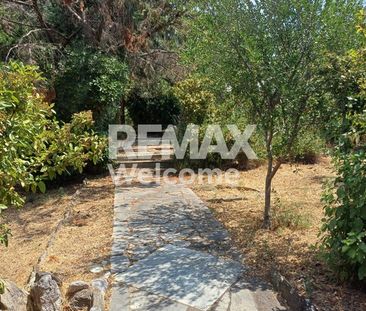 Μονοκατοικία 195 τ.μ. προς ενοικίαση - Photo 1