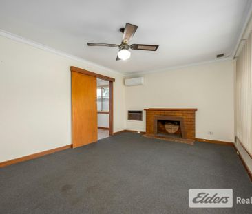 Light Filled Character Home with Awesome Secure Yard - Photo 1