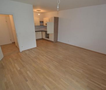 PROVISIONSFREI – Jakomini – 50m² – 2 Zimmer – große Terrasse – Eige... - Foto 6