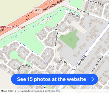 Wintergreen Road, Red Lodge - Photo 1