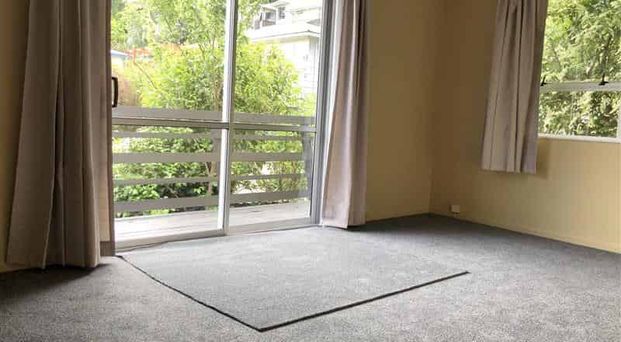 Sunny Fenced 3 Bedroom Home - Photo 1