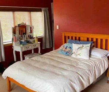 Full Section Home Handy Location - Photo 4