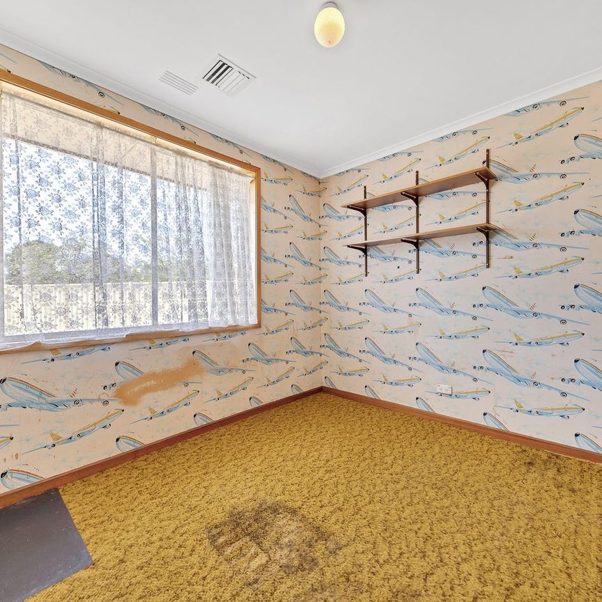 Massive Solar | Heating & Cooling | Outdoor Entertaining - Photo 1