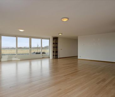 Hofdael, 5664GR, Geldrop - Foto 3