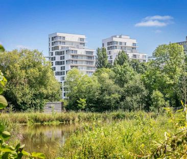 Appartement T2 à louer Saint Meloir Des Ondes - 35 m² - Photo 5