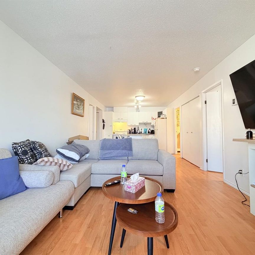 Antoine-du Verdier Appartement 3 ½ à Louer Sainte-Foy / Sillery Juillet 2026 - Photo 1