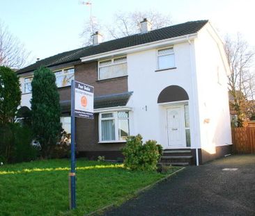 17 Kernan Crescent, Portadown, BT63 5TT - Photo 1