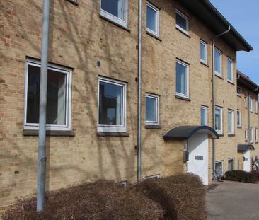 7800, Skive - Foto 5