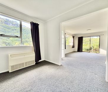 12 Mount Pleasant Road, Aro Valley - Photo 2